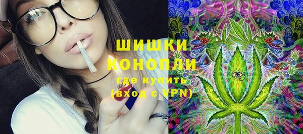 герыч Мегион