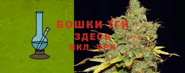 герыч Мегион
