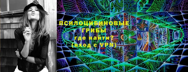герыч Мегион