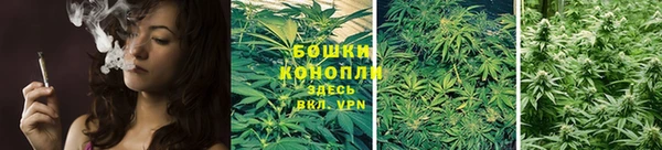 герыч Мегион