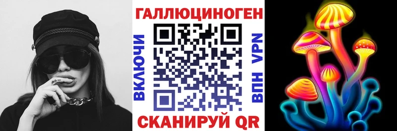 наркошоп  Елизаветинская  Псилоцибиновые грибы Psilocybine cubensis 