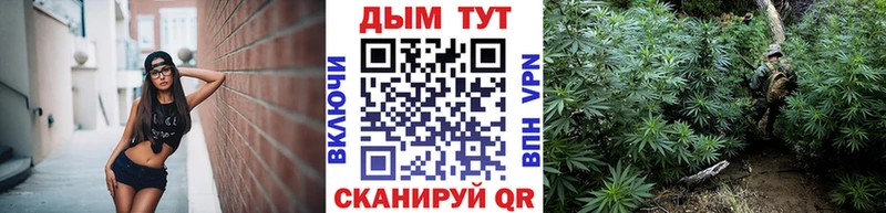 Канабис Amnesia  Елизаветинская 
